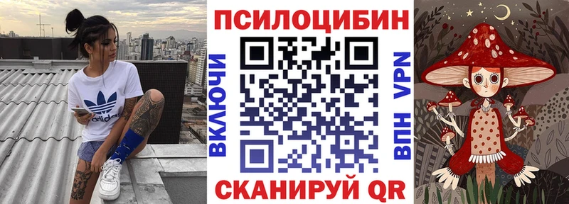 Галлюциногенные грибы ЛСД  kraken tor  shop официальный сайт  Кашин 